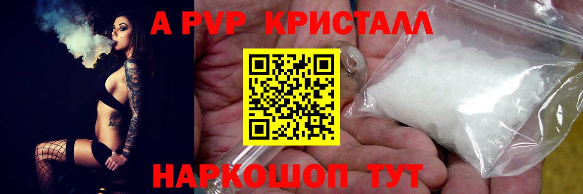 Шадринск  Alfa_PVP СК КРИС  Вход с VPN 