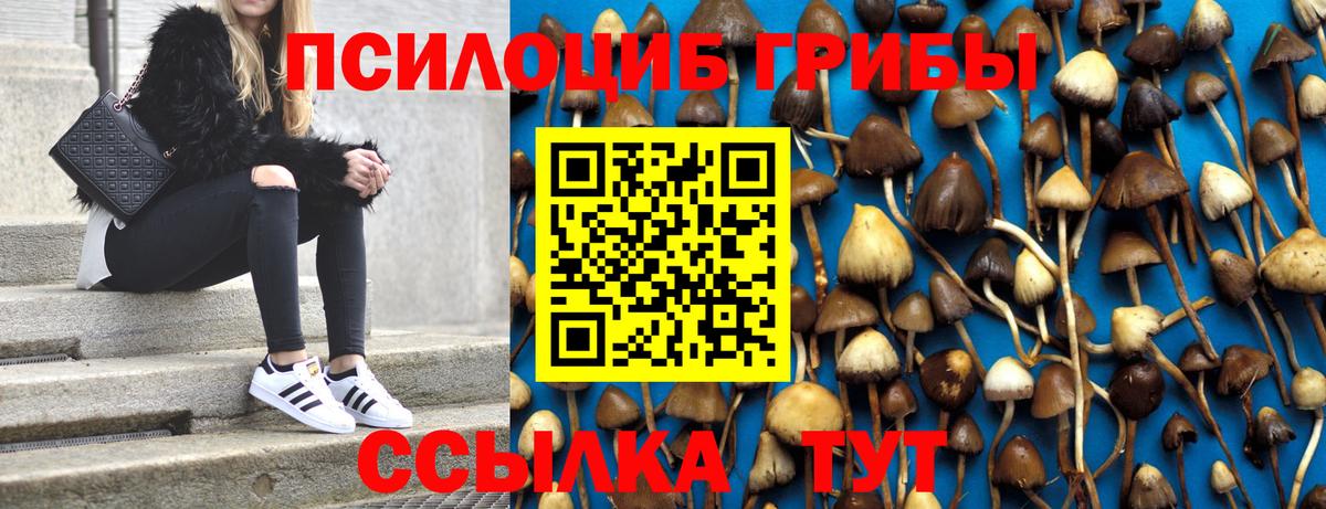 Псилоцибиновые грибы ЛСД Шадринск