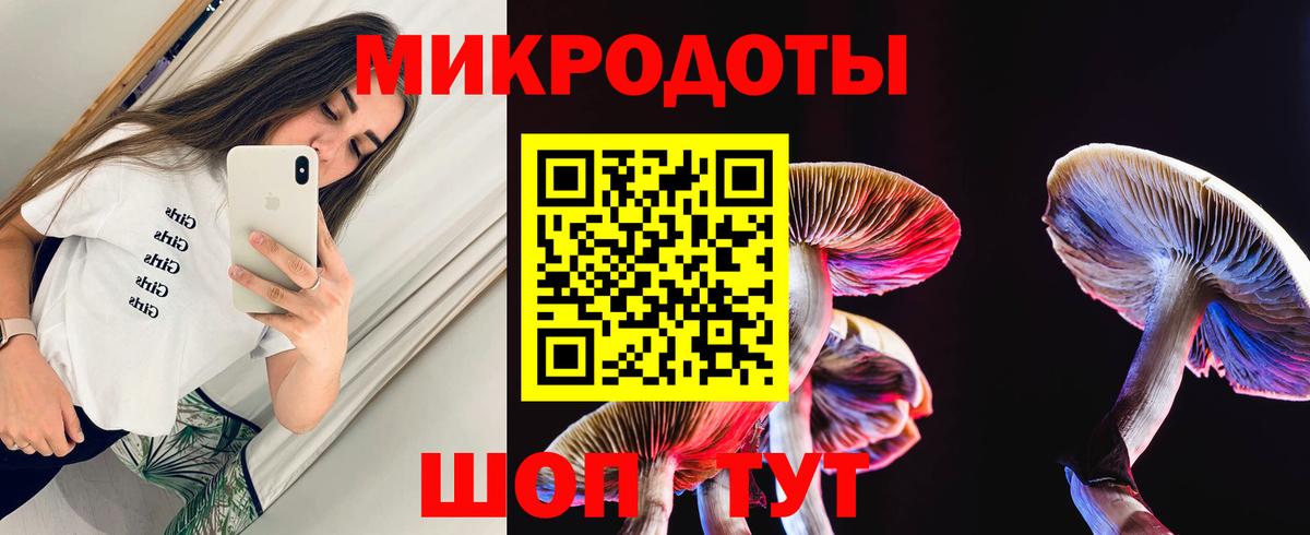 Псилоцибиновые грибы MAGIC MUSHROOMS  хочу наркоту  Шадринск  Вход с VPN 